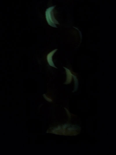 Light sculpture by caroline