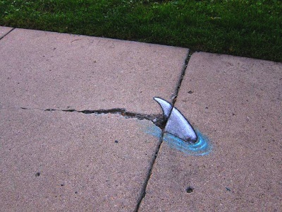 Illusion - shark