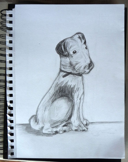 Rebecca - Dog