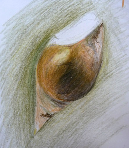Lorraine - Snail
