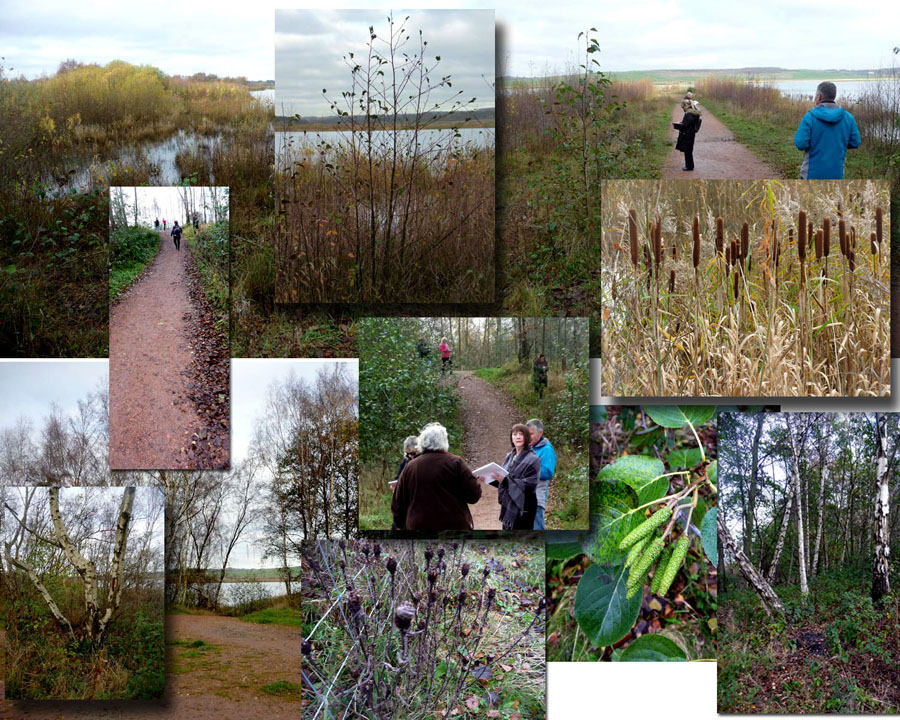 St Aidan's Nature Reserve